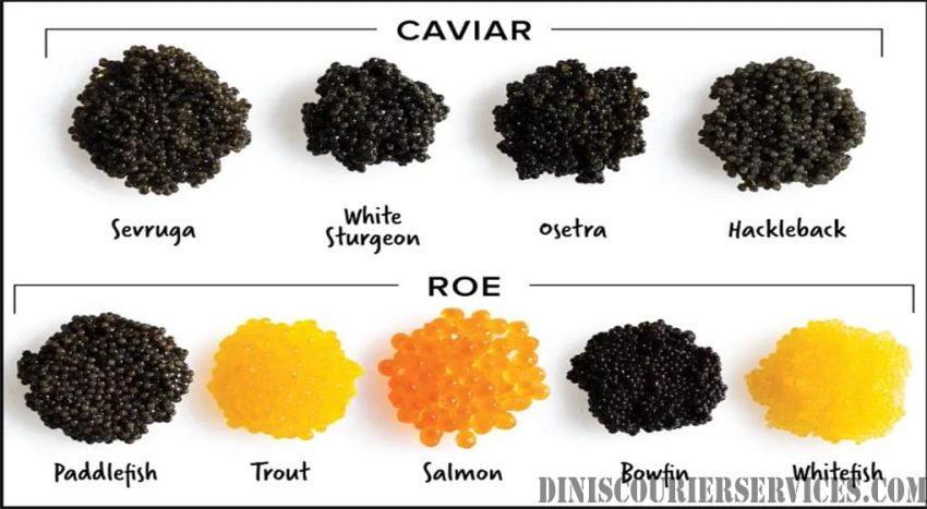 Kaviar atau Roe