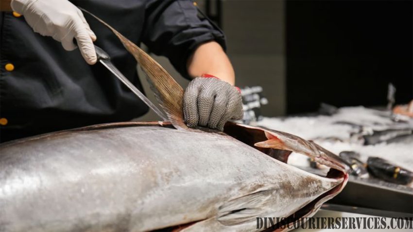 Mitos & Fakta Ikan Tuna